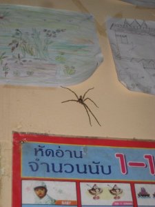 10401072_584645214156_3037_n